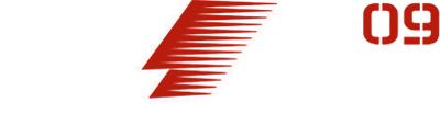 F1 2009 logo for Wii